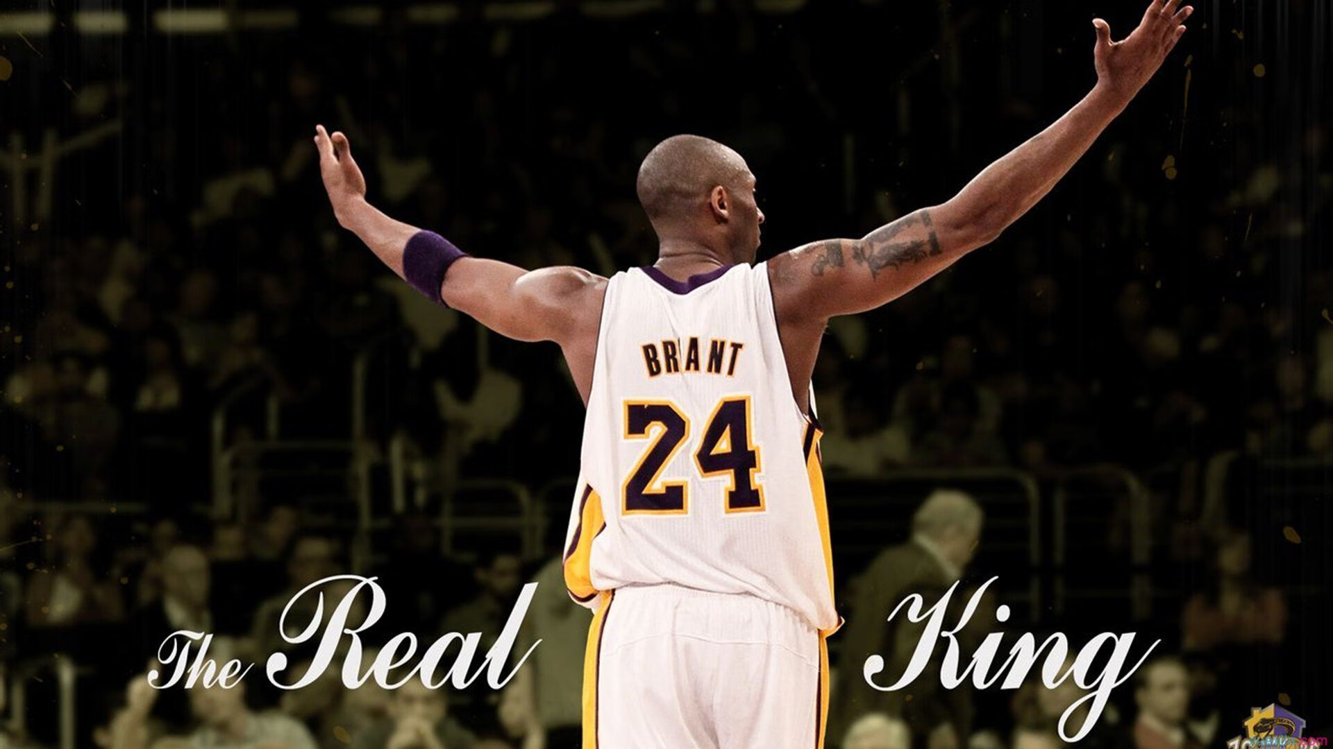 花样滑冰的童话冒险，新晋小将以高技巧完美演绎夺冠传奇，花样滑冰现场